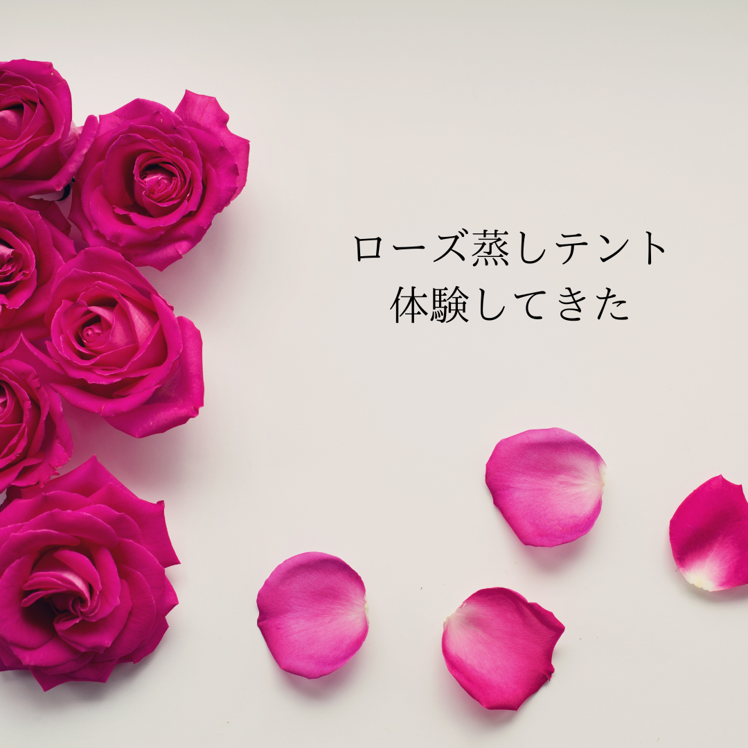 鮮やかなピンクのバラと花びらが並ぶ白い背景に、『ローズ蒸しテント体験してきた』というテキストが配置された画像。
